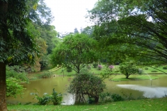 Peranediya -Botanical Garden Kandy - Sri Lanka - diekreuzfahrtblogger.de