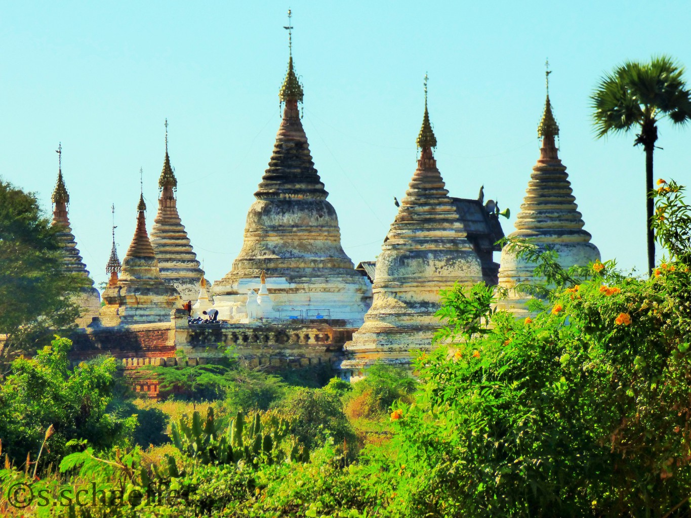 Das Tempelfeld von Bagan 