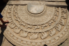 P1160806