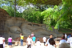 P1160816