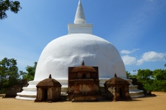 P1160817